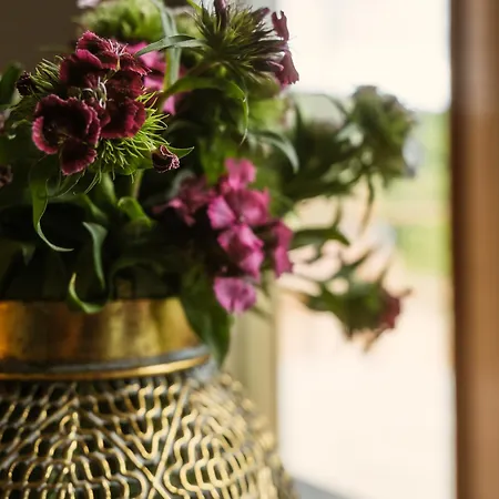 Eko Zaseok Brana * Rekovac