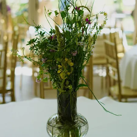 Eko Zaseok Brana Apartamento Rekovac