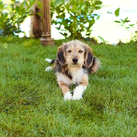 Eko Zaseok Brana Apartamento *