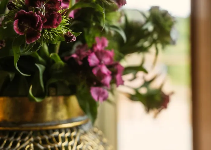 Eko Zaseok Brana * Rekovac